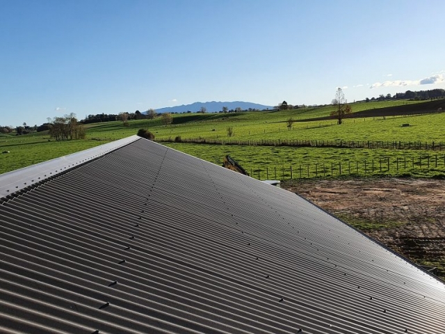 97277717_2978142518959876_4271559891740524544_o